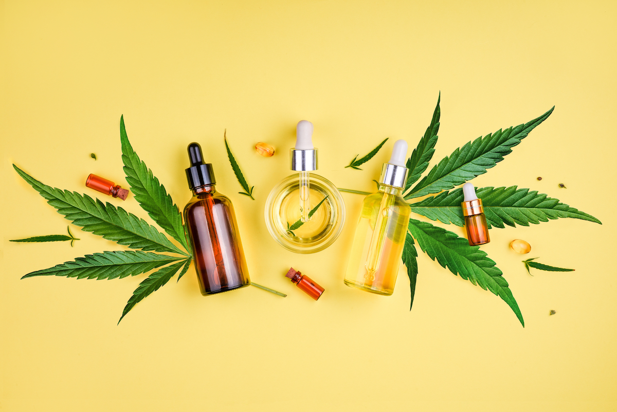 Le CBD légalisé en France : un nouveau souffle pour le bien-être et l'économie