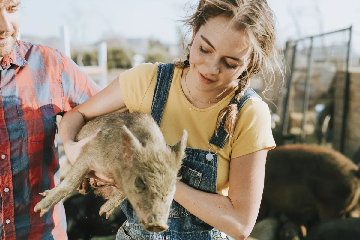 Le Droit des animaux : une protection juridique en constante évolution