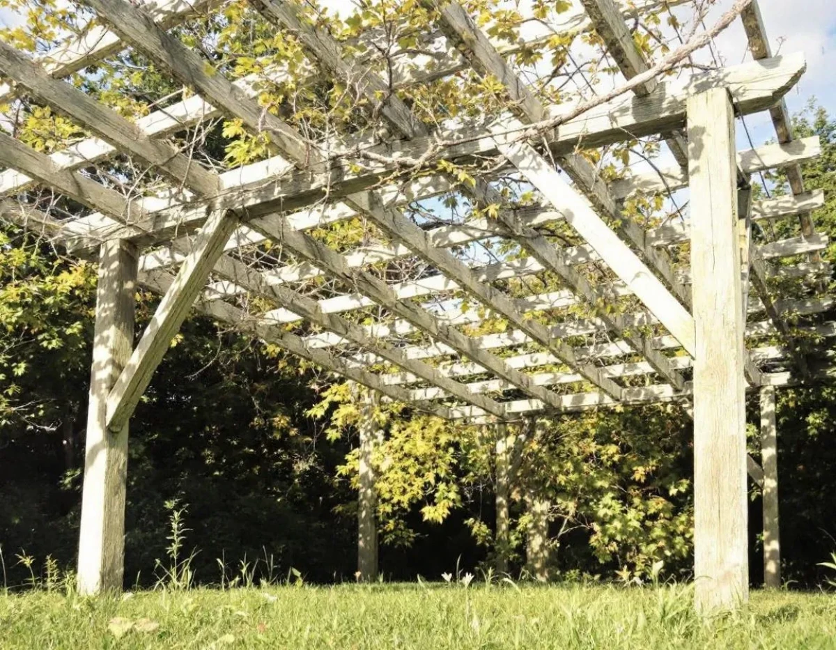 La pergola et l'exécution forcée en nature : enjeux juridiques et solutions pratiques